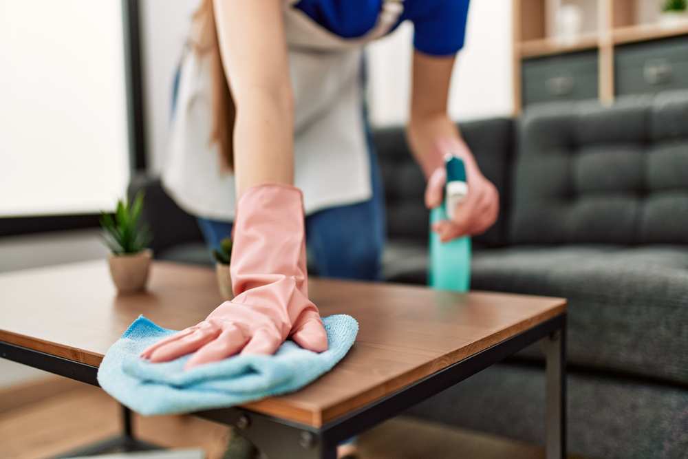Consideramos cada vez más importante la limpieza dentro del hogar